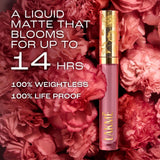 power-petal-304