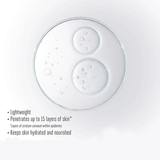 Lakme Absolute Fresh Life Essence 60ml