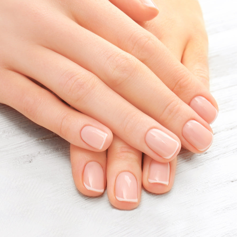 Lakmē Absolute Nourishing Nail Oil 12ml